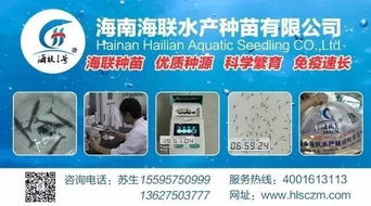 行情高漲激發(fā)養(yǎng)戶熱情，淡水魚功能料時(shí)代 超越噱頭的技術(shù)深耕與價(jià)值回歸